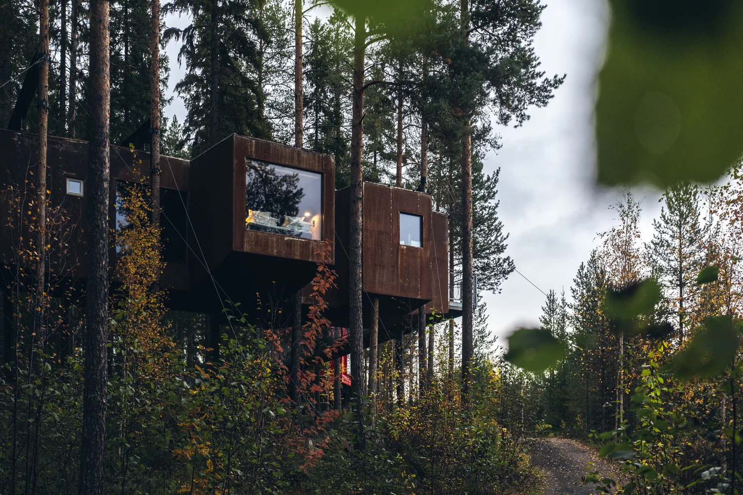 Unique hospitality architecture photographed in a calm natural setting Exclusive treehouse lodges in the forest with modern architecture and panoramic windows